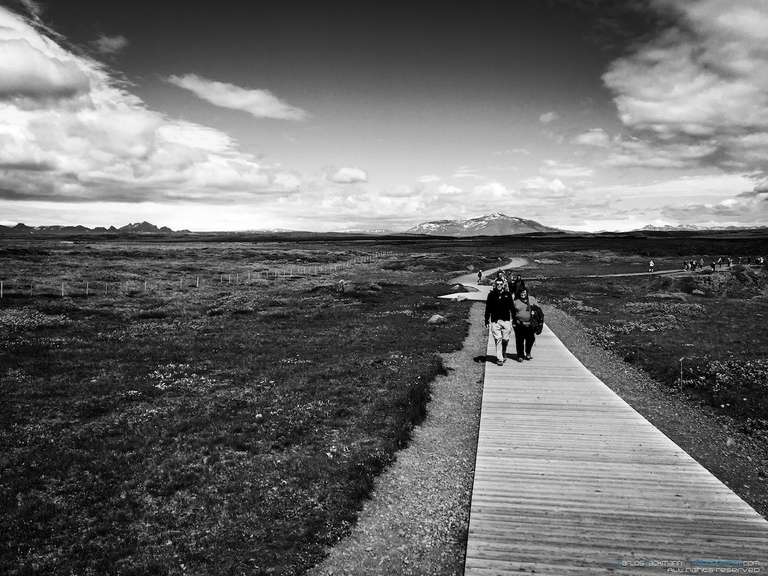 Iceland field black and white photo with a wood path Gullfoss