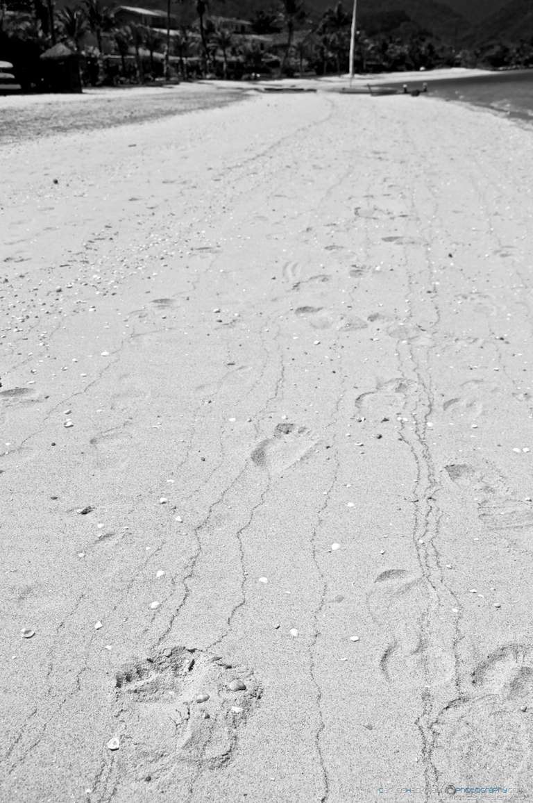 footprints in the sand on the beach by the sea